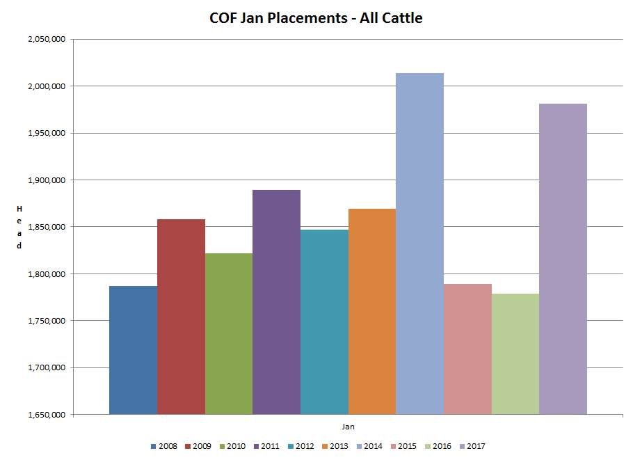 COF Jan Placements - All Cattle
