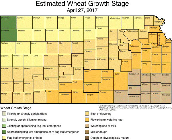 Estimated Wheat Growth Stage