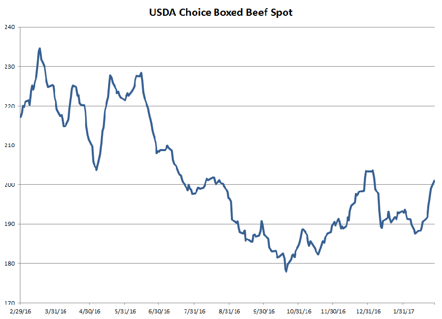 USDA Choice Boxed Beef Spot